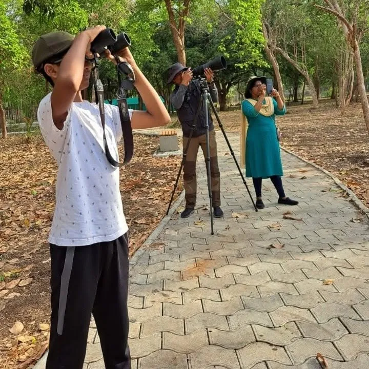 Guests birdwatching with binoculars at the lodge