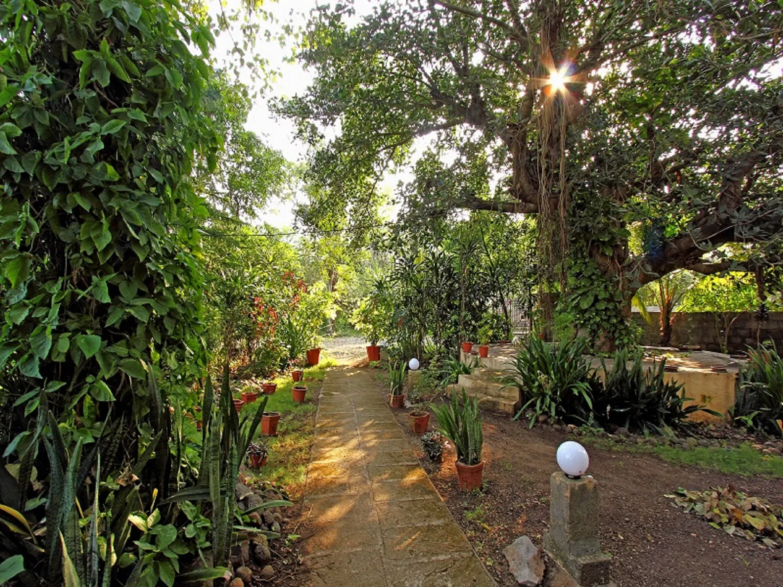 The garden and Kesar mango orchard at the lodge